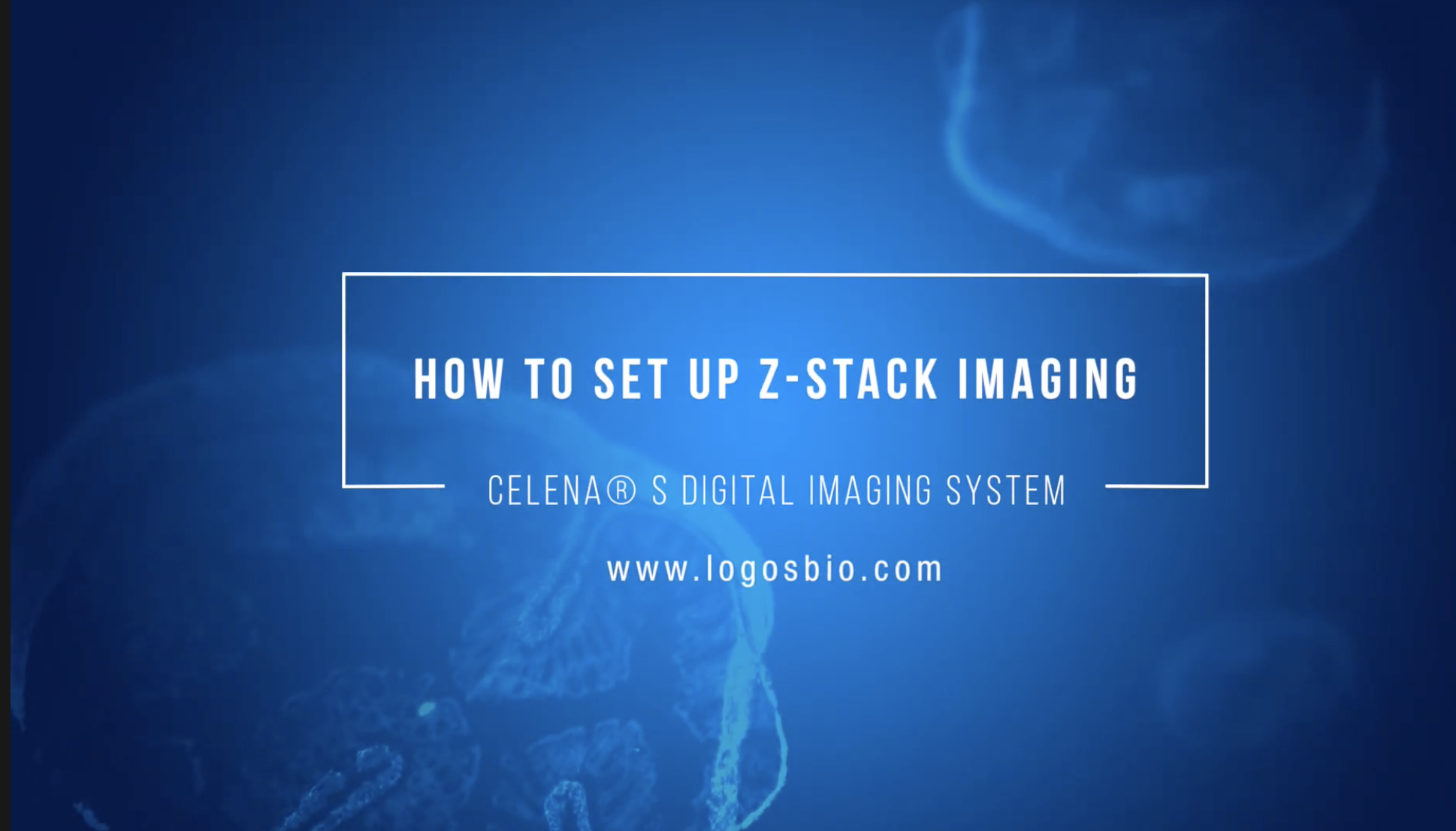 Tutorial Shots Z Stack How To Set Up Z Stack Imaging On The CELENA