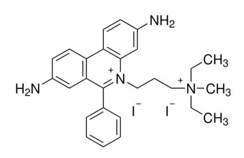 Acridine-Orange_Propidium-Iodide-500x325