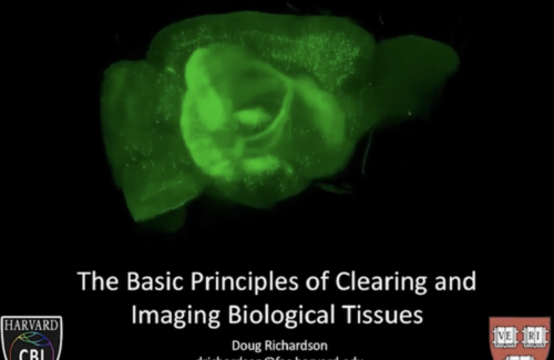 Basic Principles of Clearing and Imaging Biological Tissues