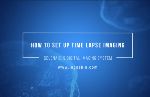 How to set up time lapse imaging on the CELENA® S