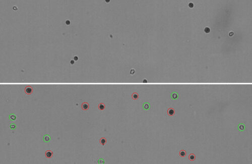 LogosBiosystems-LUNA-FX7_AutomatedCellCounter-M1