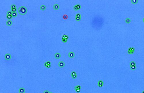 LogosBiosystems-LUNA-II-AutomatedCellCounter-Hep3B