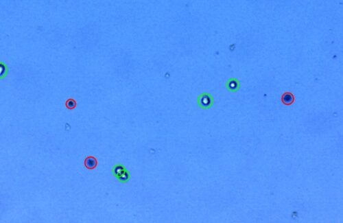 LogosBiosystems-LUNA-II-AutomatedCellCounter-MCF7